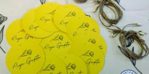 Paper Brand Hang Tag