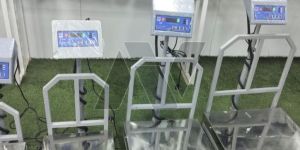 Digital Weighing Scale Machine