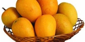 Alphonso Premium Fresh Mango
