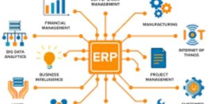 open source erp software development service