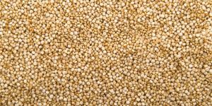 Quinoa Seeds