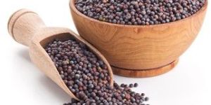 Mustard Seeds (Rai)