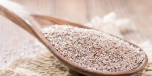 Psyllium Seeds