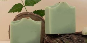 Neem Tulsi Soap 100g