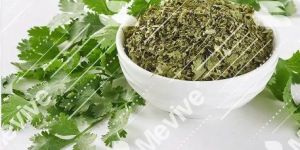 Dried Coriander Leaves
