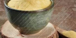 Spray Dried Mango Fruit Powder