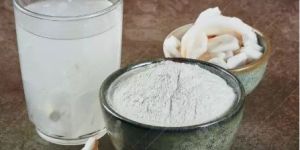 Spray Dried Tender Coconut Water Powder