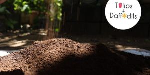 Neem Powered Soil Enhancer