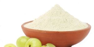 Amla Fruit Powder