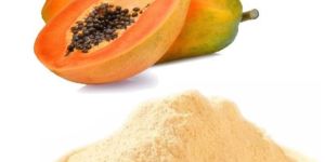 Papaya Juice Powder