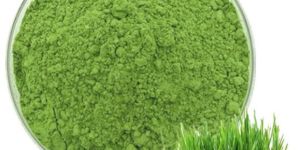 Wheatgrass Powder