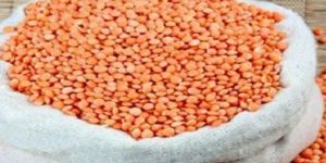 Red Masoor Dal
