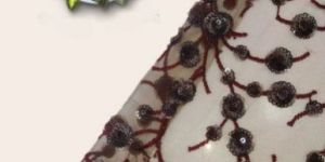 Coffee Brown Colour Thread Work and Floral Jaal Allover on Net Fabric