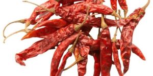 Dried Red Chili