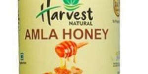 Organic Amla Honey