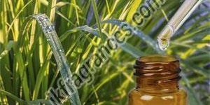 Organic Citronella Oil