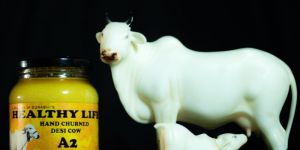 A2 Bilona Cow Ghee