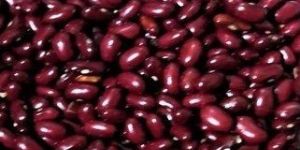 Golfa Munsyari Rajma Red