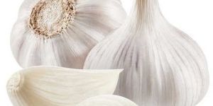 Organic White Garlic