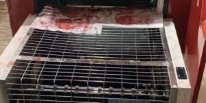 Manual Feed Offset Printing Machine