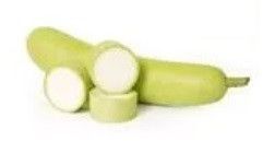 Fresh Bottle Gourd