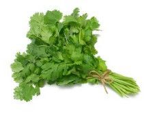Fresh Coriander Leaves