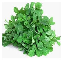 Fresh Fenugreek Leaves