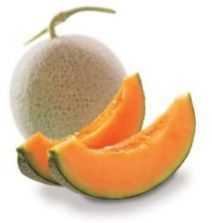 Fresh Muskmelon