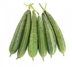 Fresh Ridge Gourd