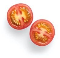 Fresh Tomato