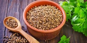 Coriander Seeds