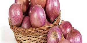 a Grade Red Onion
