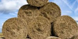 Mesh Dry Grass Cattle Feed Roll