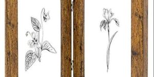 Natural Wood Photo Frame