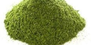 Mint Leaves Powder