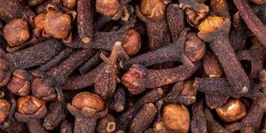 Clove Seeds