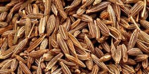 Cumin Seeds