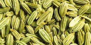 Fennel Seeds