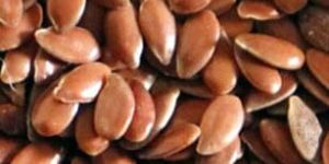 Flax Seeds