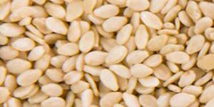 Sesame Seeds
