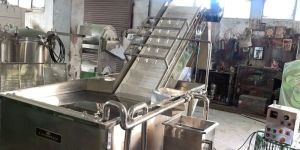 Bsb Fruit and Vegetable Washer Machine