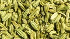 Fennel Seeds