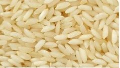 Sona Masoori / GR-11 Rice