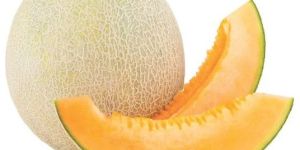 Fresh Muskmelon