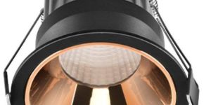 Round 12W Recess Cob LED Down Lighter