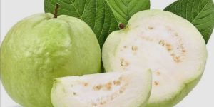 Fresh Guava