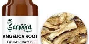 Angelica Root Oil