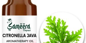 Citronella Oil Java