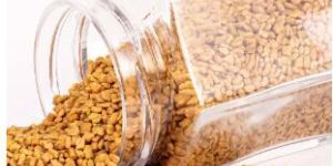 Fenugreek Seed