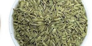 Fennel Seeds